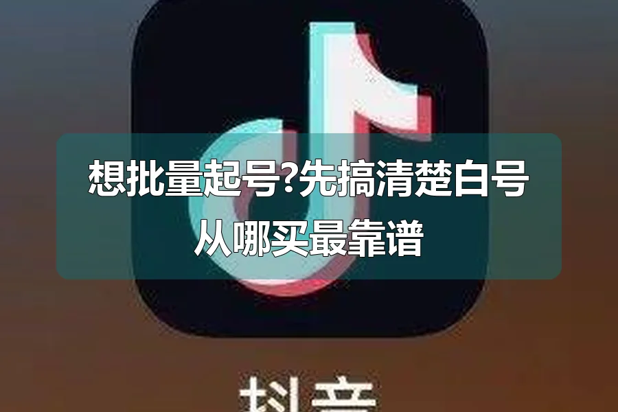 想批量起号?先搞清楚白号从哪买最靠谱